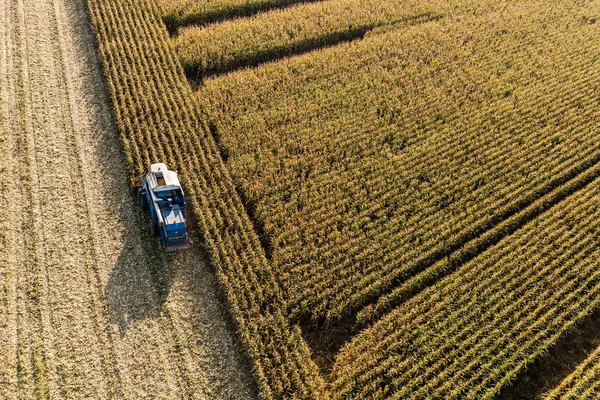 Combineren op het veld van de oogst — Stockfoto