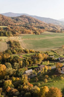 Sonbahar ormanının havadan görünüşü