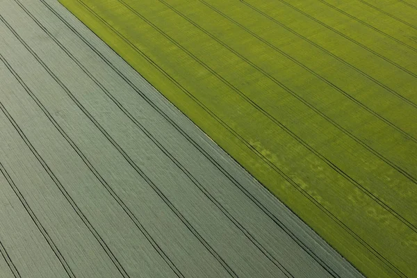 Aerial view of the harvest fields — Stock Photo, Image