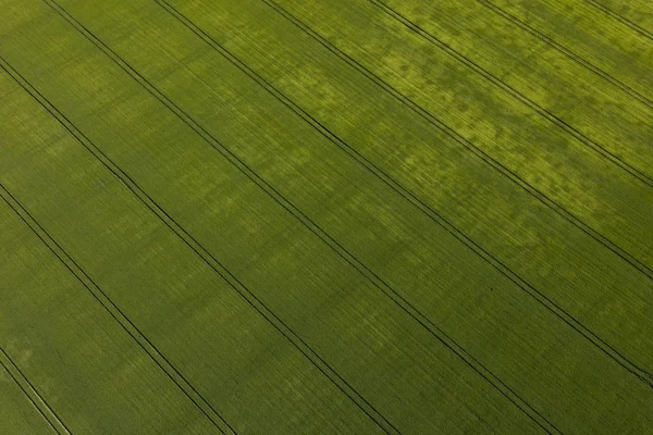 Vista aérea dos campos de colheita — Fotografia de Stock