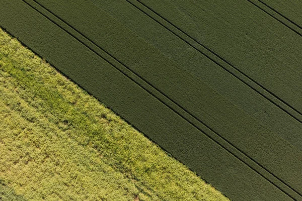 Vue aérienne des champs de récolte — Photo