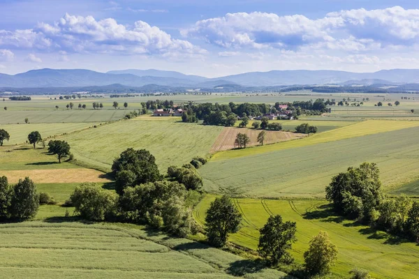 Widok z lotu ptaka na pola zbiorów — Zdjęcie stockowe