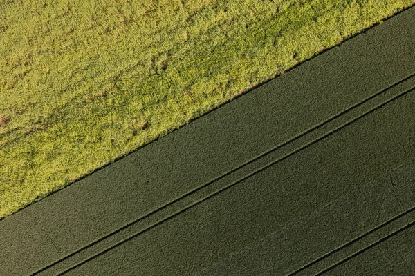 Widok z lotu ptaka na pola zbiorów — Zdjęcie stockowe