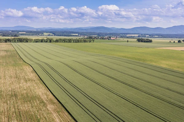 Widok z lotu ptaka na pola zbiorów — Zdjęcie stockowe