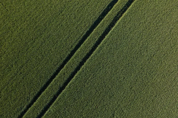 Luftfoto af høstmarkerne - Stock-foto