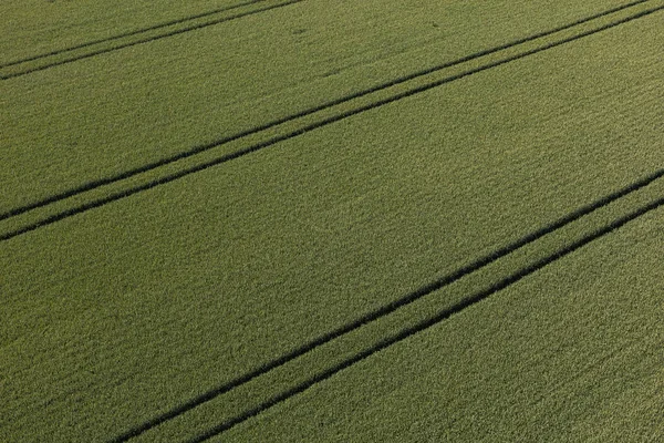 Vista aérea de los campos de cosecha —  Fotos de Stock