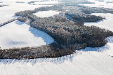 Kış Polonya'da alanları havadan görünümü