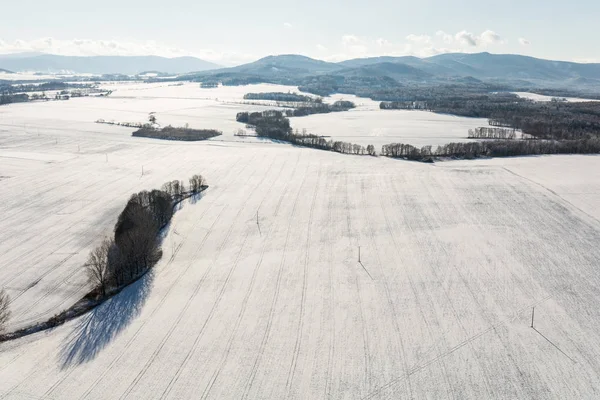 Vue Aérienne Des Champs Hiver Pologne — Photo