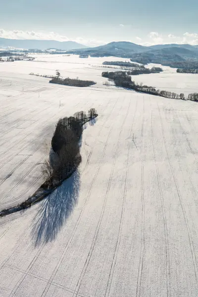 Vue Aérienne Des Champs Hiver Pologne — Photo