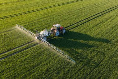 Polonya 'daki hasat alanlarının havadan görünüşü