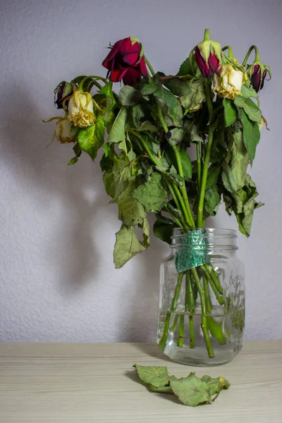 Solmuş kırmızı ve beyaz gri bir arka plan üzerinde gül