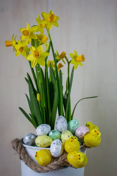 Paskalya yumurta ve piliç çim nergis ile gizleme