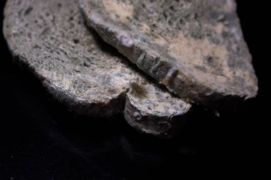 Siyah arka planda küflü beyaz ekmek. Siyah bir masada küflü ekmek dilimi