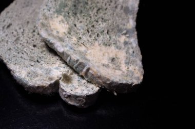 Siyah arka planda küflü beyaz ekmek. Siyah bir masada küflü ekmek dilimi