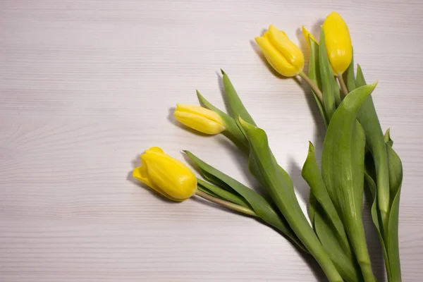 Flower tulip on white wooden background. Bouquet of the yellow tulip flowers. Valentines day concept, woman\'s day. Red gift box.