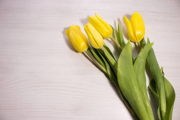 Flower tulip on white wooden background. Bouquet of the yellow tulip flowers. Valentines day concept, woman\'s day.