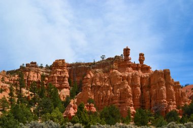 Red Canyon Area Bryce Canyon Milli Parkı, Utah