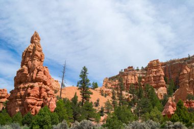 Milli Park Bryce Canyon, Utah.