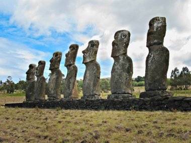 Paskalya Adası 'nın yedi moaisi Ahu Akivi kutsal bölgesinde Polinezya kültürünün sembolü.