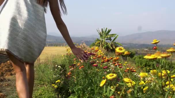 Ochtend Wandeling Meisje Witte Jurk Weg Met Bloemen Achtergrond Van — Stockvideo