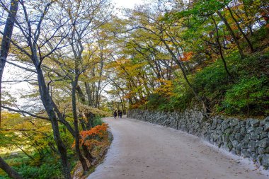Seokguram Grotto renkli yolu