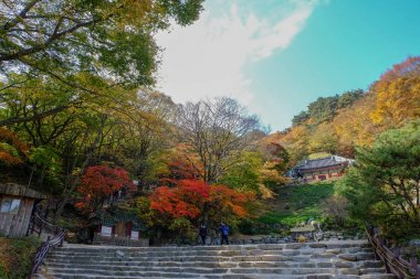 Seokguram Grotto dünya mirası Gyeongju, Güney Kore
