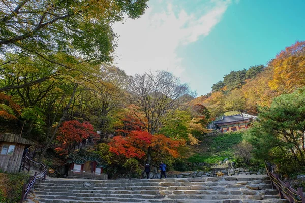 Seokguram Grotto dünya mirası Gyeongju, Güney Kore