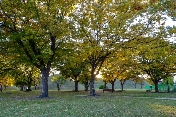 Tumuli royal tomb in autumn — Stock Photo, Image