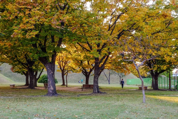 Tumuli Königsgrab im Herbst — Stockfoto