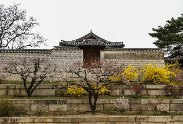 Changgyeonggung palác — Stock fotografie