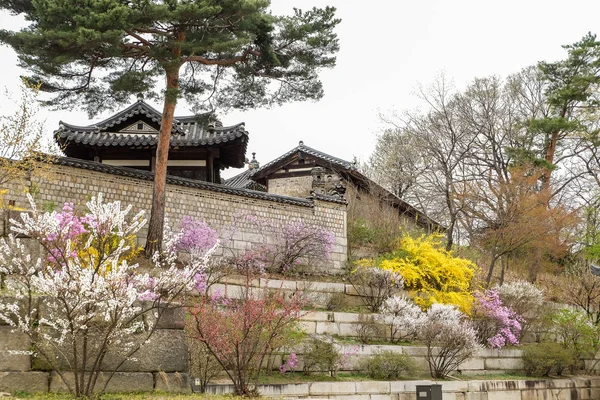 Changgyeonggung palác — Stock fotografie