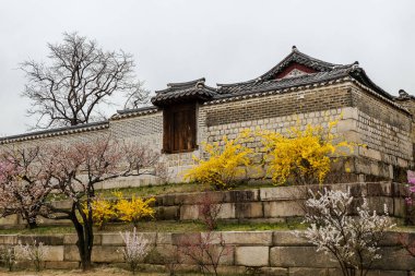 changgyeonggung Sarayı