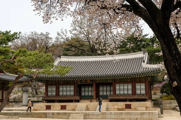 Changgyeonggung palác — Stock fotografie