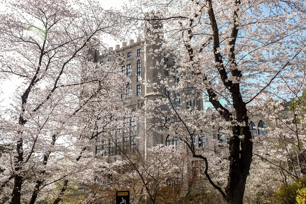 Kyung hee Universität — Stockfoto