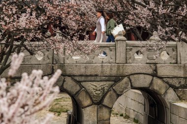 changgyeonggung Sarayı