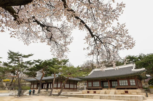 Palácio de Changgyeonggung — Fotografia de Stock