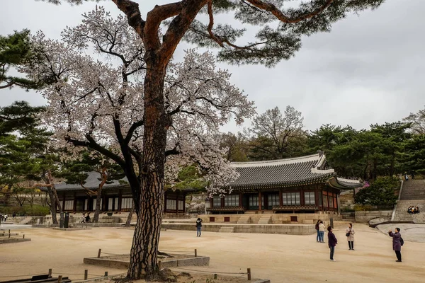 Changgyeonggung palác — Stock fotografie