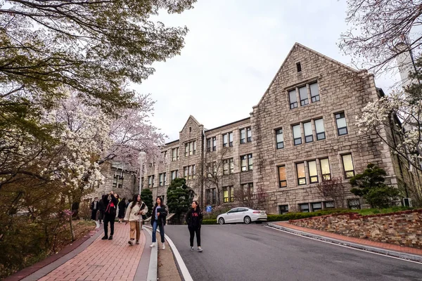 Seúl Corea Del Sur Abril 2019 Estudiantes Caminando Entre Hermosas — Foto de Stock