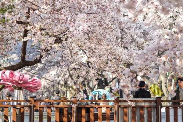 Jinhae Corea Del Sur Abril 2019 Jinhae Gunhangje Festival Festival — Foto de Stock