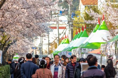 Jinhae, Güney Kore-2 Nisan 2019: İnsanlar 2 Nisan 2019 'da Jinhae Gunhangje Festivali' nde yürürler..