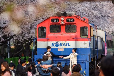 Jinhae, Güney Kore - 2 Nisan 2019: Gyeonghwa İstasyonu, Güney Kore 'deki Jinhae Gunhangje Festivali' nde trenin etrafındaki güzel manzaranın fotoğraflarını çeken turistler.