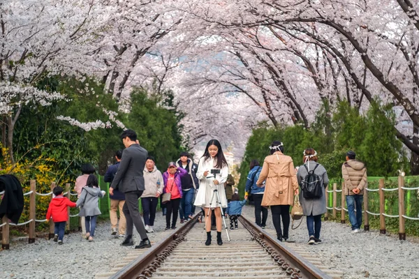 Jinhae Corea Del Sur Abril 2019 Los Turistas Toman Fotos — Foto de Stock