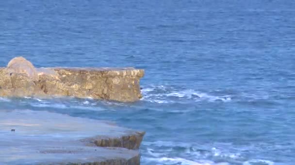 Серфинг Каменном Пляже Летом — стоковое видео