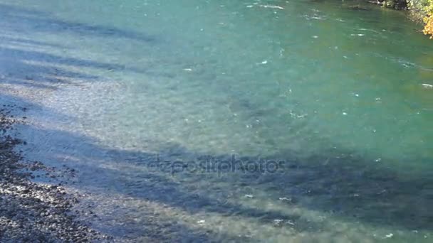 Agua Del Río Cerca — Vídeo de stock