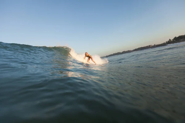 Surfen — kostenloses Stockfoto