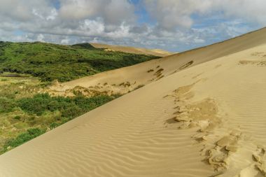 Giant Sand Dunes clipart