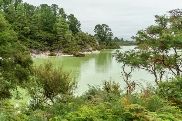 Green water — Stock Photo, Image