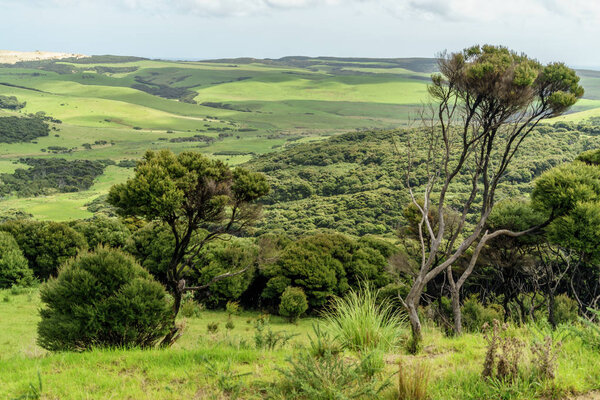 green valley