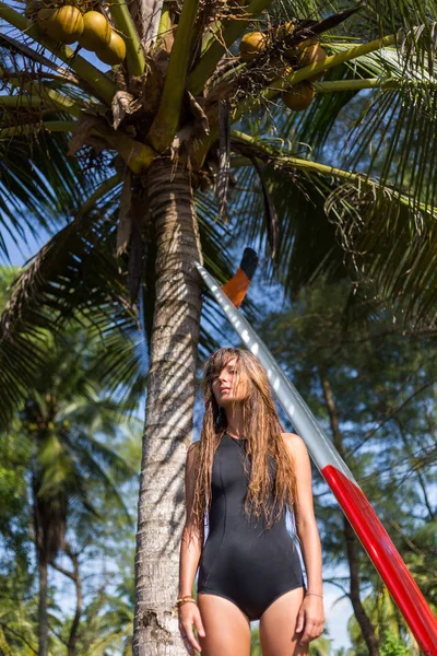 Palm tree — Stock Photo