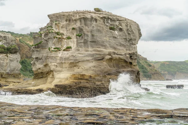 Playa de Muriwai - foto de stock